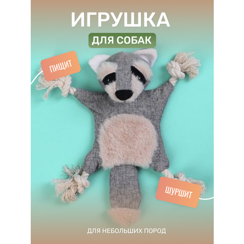 Игрушка для собак Енот, пищит и шуршит. фотография