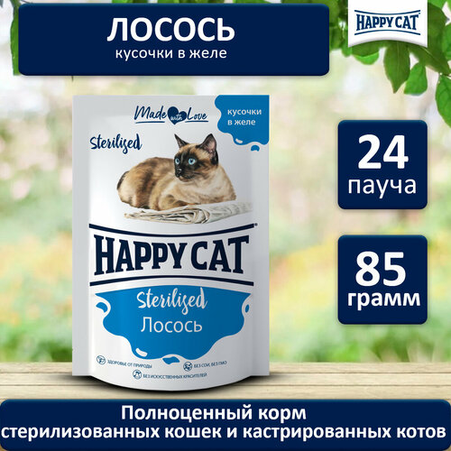 Корм влажный для кошек Хэппи Кэт (Happy Cat) стерилизованная лосось в желе, пауч (24шт*85гр) фотография