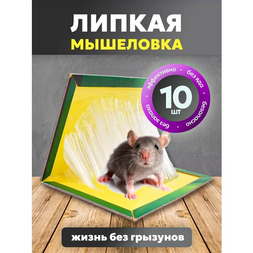 Клеевая мышеловка ловушка от крыс и мышей, 10 шт фотография