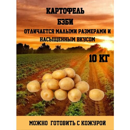 ОгородNIK Бэби-картофель, для жарки, варки, запекания, с тонкой кожурой, 10 кг фотография