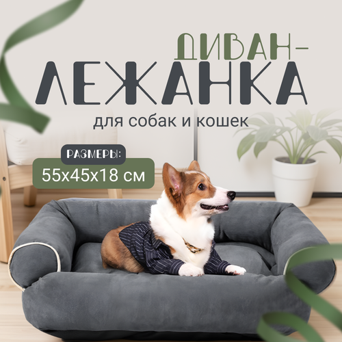 Лежанка для собак и кошек ZOOWELL Classic Диван кровать для животных с бортиками, 55*45*18 см фотография