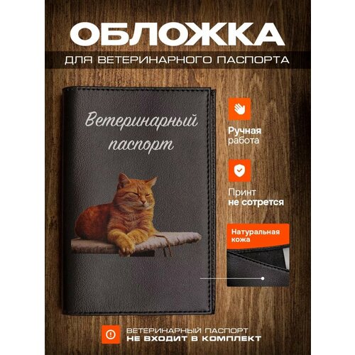 Обложка на ветеринарный паспорт для кошек с принтом рыжая кошка фотография