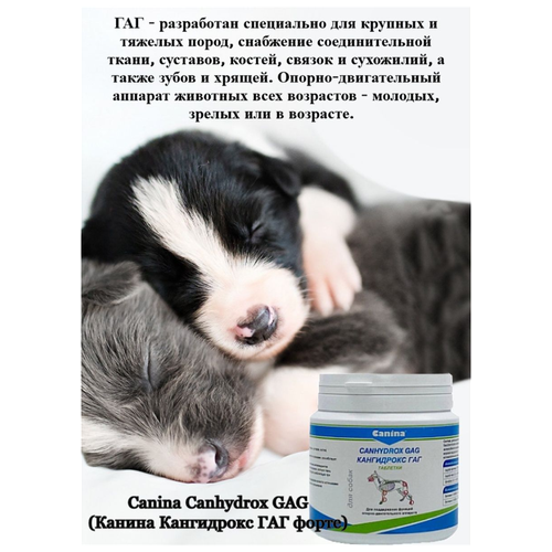 Добавка в корм для собак Canina Canhydrox GAG Forte (100г/60таб) фотография