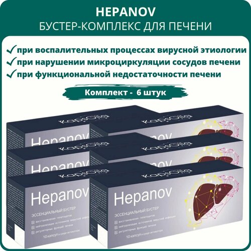 Hepanov KapsОila - бустер-комплекс для печени, 10 капсул, набор 6 штук фотография