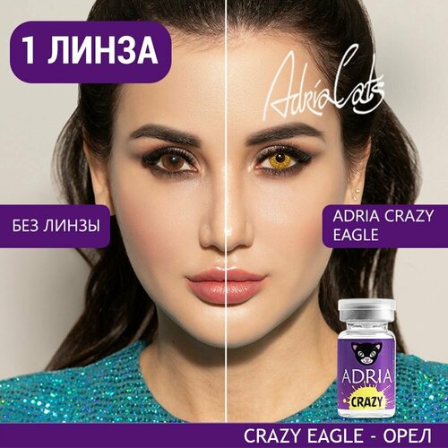 Контактные линзы ADRIA Crazy, 1 шт., R 8,6, D 0, eagle, 1 уп. фотография