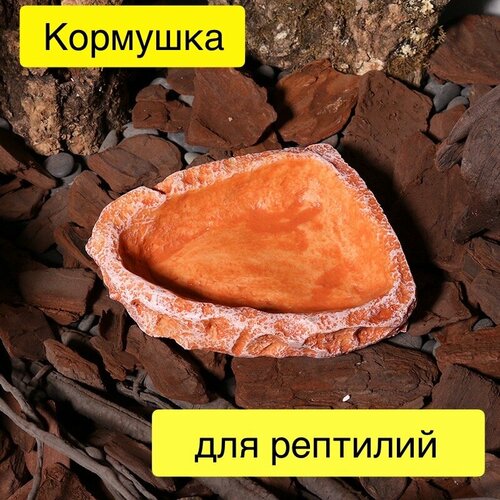 Кормушка поилка для ящериц, пауков, игуан, хамелеонов, рептилий и черепах для террариума и аквариума фотография