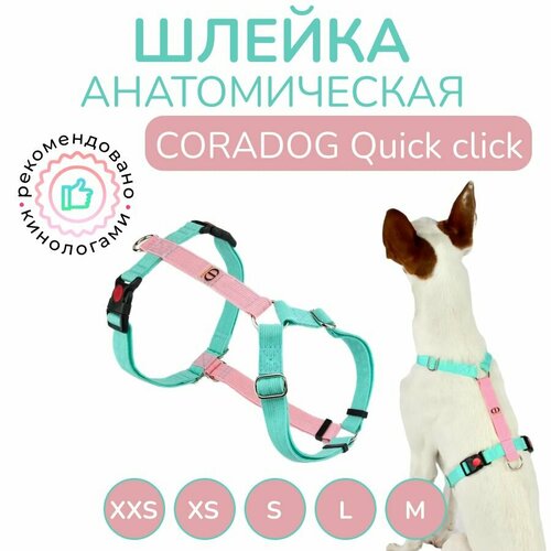 Шлейка прогулочная анатомическая для мелких пород собак и кошек, CORADOG Quick click, размер XXS, цвет розовый, мятный фотография