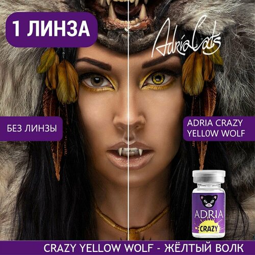 Контактные линзы ADRIA Crazy, 1 шт., R 8,6, D 0, ADD: средняя, yellow wolf, 1 уп. фотография