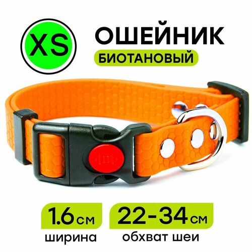 Ошейник из биотана 22-34 см (XS), 16 мм, Woofy 