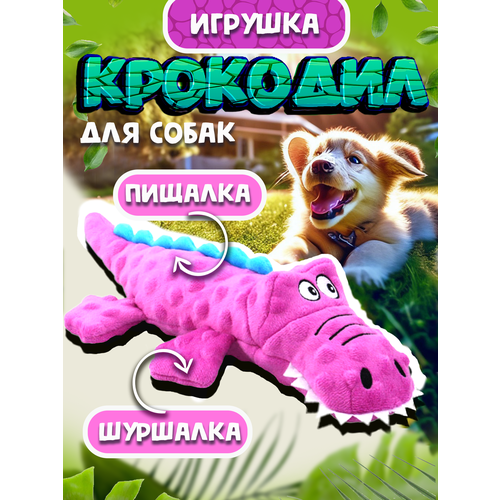 Игрушки для собак 