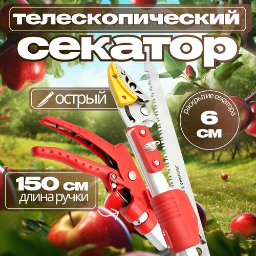 Секатор телескопический для деревьев, до 1,5 м , в сборе 1,1 см фотография