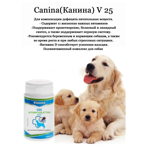 Добавка в корм для собак Canina V 25 (200г/60 таб) фотография