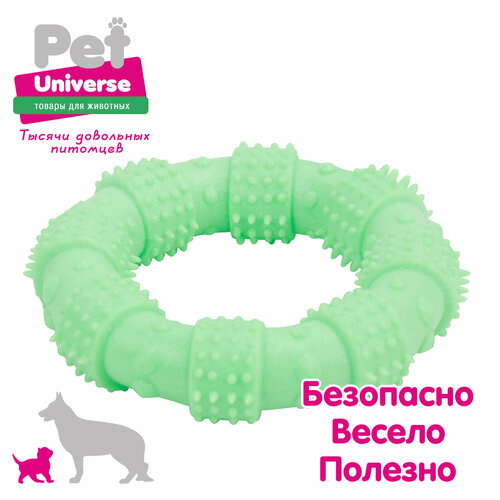 Игрушка для собак Pet Universe многофактурное кольцо с пупырышками 12х3 см, ТПР, зелёный, PU3062GN фотография