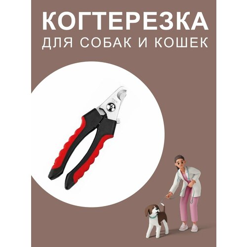 Когтерезка для кошек и собак. Когтерез для животных фотография