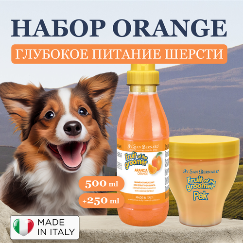 Выгодный набор шампунь для собак и маска Orange для глубокого питания шерсти с протеинами и экстрактом шёлка, Iv San Bernard, Италия, 500+250 мл фотография