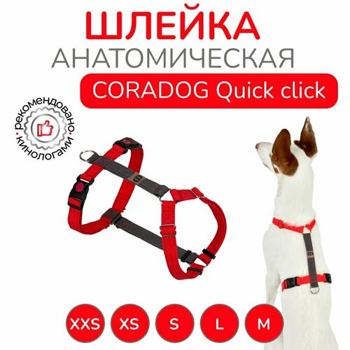 Шлейка прогулочная анатомическая для средних пород собак, CORADOG Quick click, размер S, цвет красный, серый фотография