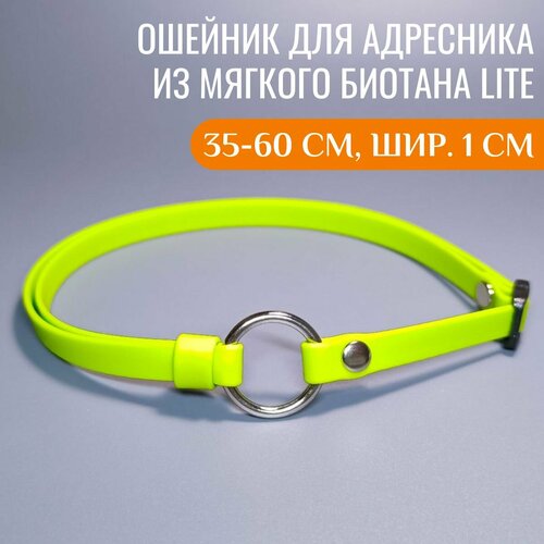 R-Dog Тонкий ошейник из мягкого биотана Lite для адресника, цвет зеленое яблоко, 35-60 см, ширина 1 см фотография