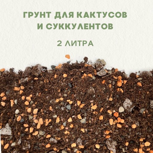 Готовый грунт для замиокулькаса, кактусов и суккулентов. Грунт для сансевиерии. 2 литра фотография