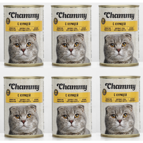 Корм консервированный для кошек Chammy курица в соусе ж/б 415г*6 шт фотография