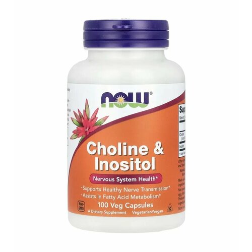 NOW Choline & Inositol Нау Холин и Инозитол, 500mg 100 Veg Caps фотография