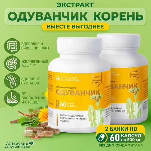 Одуванчик экстракт корня капсулы по 500 мг, 2 банки по 60 шт. - Алтайский Заготовитель фотография