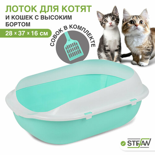 Туалет-лоток для котят и кошек с совком STEFAN, малый (S) 37х28х16, бирюзовый, BP2492 фотография