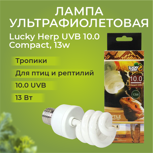 Лампа УФ Lucky Herp UVB 10.0 Compact, 13w фотография