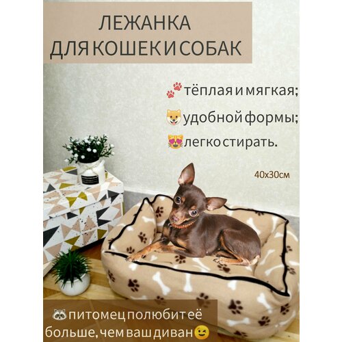 Лежанка для собак и кошек прямоугольная, 30*40 см, кофе с молоком фотография