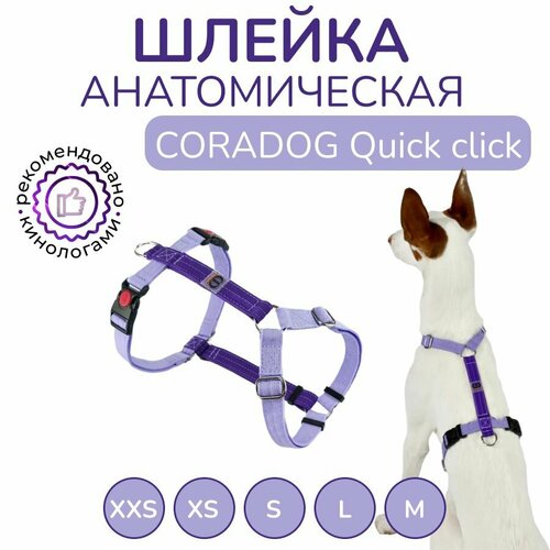 Шлейка прогулочная анатомическая для средних пород собак, CORADOG Quick click, размер S, цвет сиреневый, фиолетовый фотография