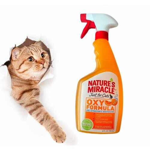 Уничтожитель пятен и запахов для кошек Nature's Miracle Oxy Formula Cat Stain and Odor Remover фотография