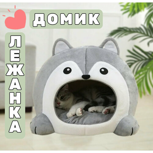 Домик лежанка для кошки, Енот фотография