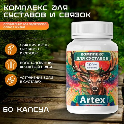 Средство Artex для суставов Артекс для укрепления сухожилий и костей фотография