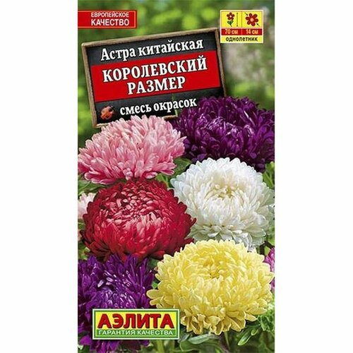 Семена Астра Королевский размер, смесь (однолетние) (Аэлита) 0,1г фотография