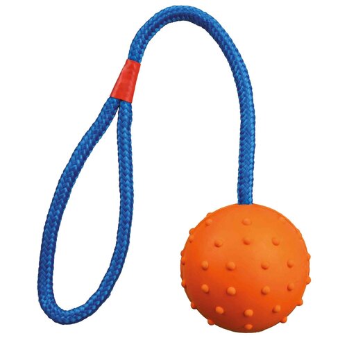 Мячик   для собак  TRIXIE Ball on a Rope (3305),  в ассортименте, 1шт. фотография