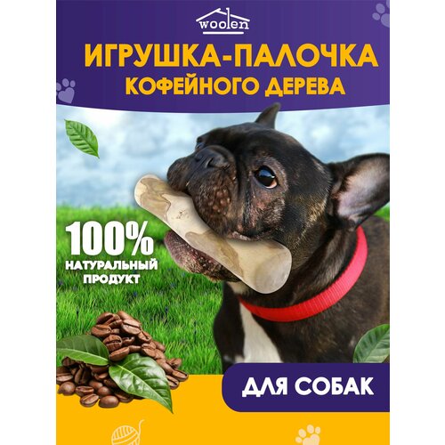 Игрушка палочка кофейного дерева фотография