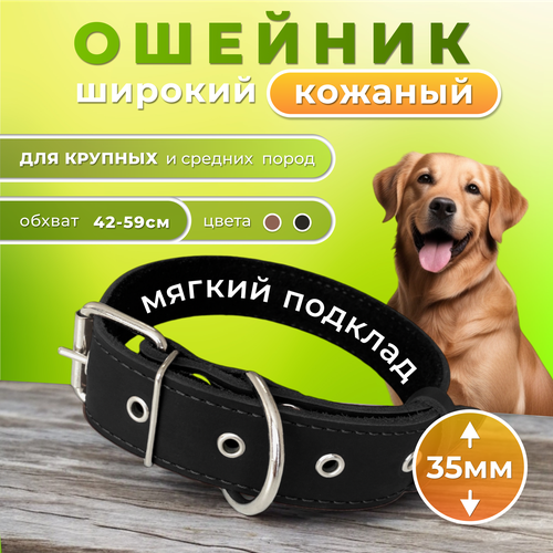 Ошейник для собак Doggy&Dog Shop из натуральной кожи, черный фотография