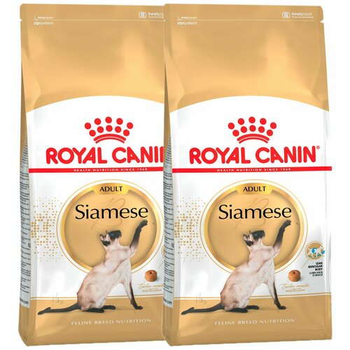 Сухой корм ROYAL CANIN SIAMESE ADULT для взрослых сиамских кошек (2 кг + 2 кг) фотография