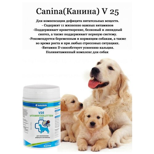 Добавка в корм для собак Canina V 25, 700г/210 таб фотография