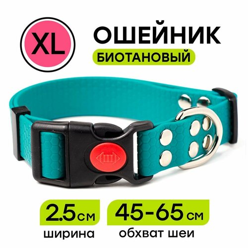 Ошейник из биотана 45-65 см (XL), 25 мм, Woofy 