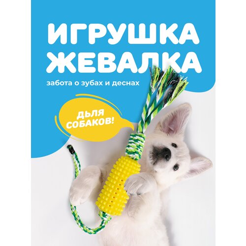 Резиновая игрушка для собак и щенков канат, SSY, Интерактивная игрушка для чистки зубов фотография