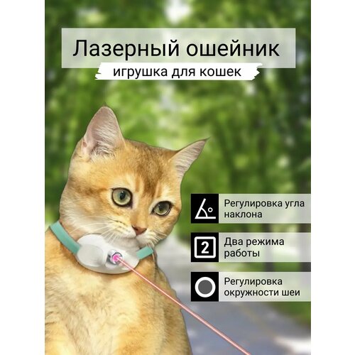 Игрушка для кошек интерактивный лазерный ошейник фотография