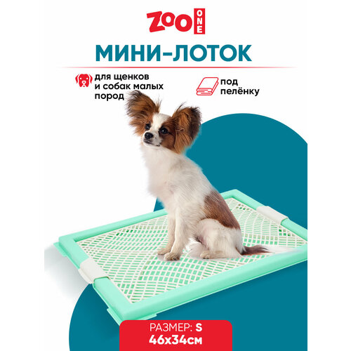 Туалет для щенков ZooOne Мини с сеткой 46х34х2 см 1 шт. 1 шт. 46 см 34 см 2 см зеленый S фотография