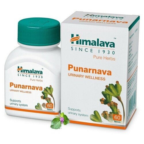 Пунарнава Himalaya Wellness Pure Herb 60 таб. фотография