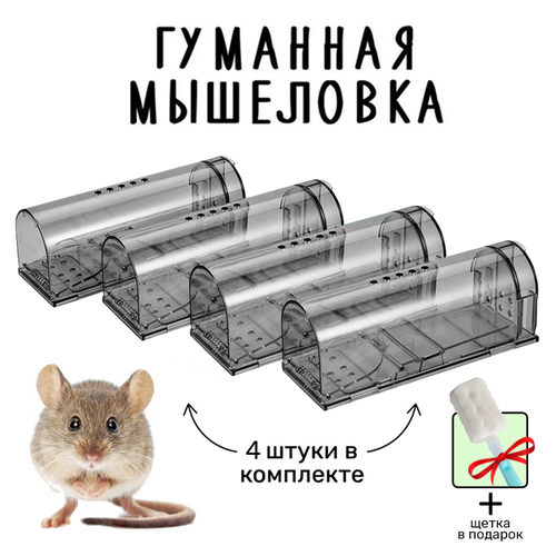 Мышеловка гуманная, живоловка для дома и дачи (ловушка для мышей и кротов), пластиковая, комплект из 4 штук, серая фотография