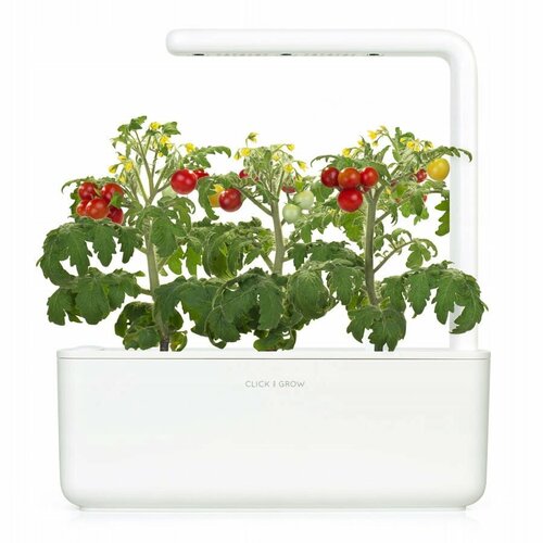 Click And Grow Умный сад Click And Grow Smart Garden 3 томат черри (белый) фотография