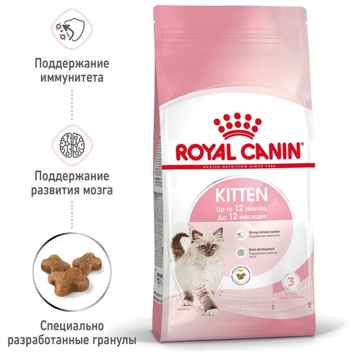 Сухой корм для котят Royal Canin Kitten 2 шт. х 300 г фотография