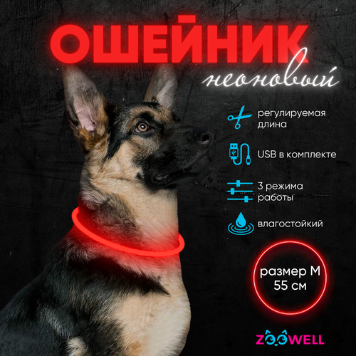 Ошейник светящийся для собак LED, 55 см красный , ZOOWELL фотография