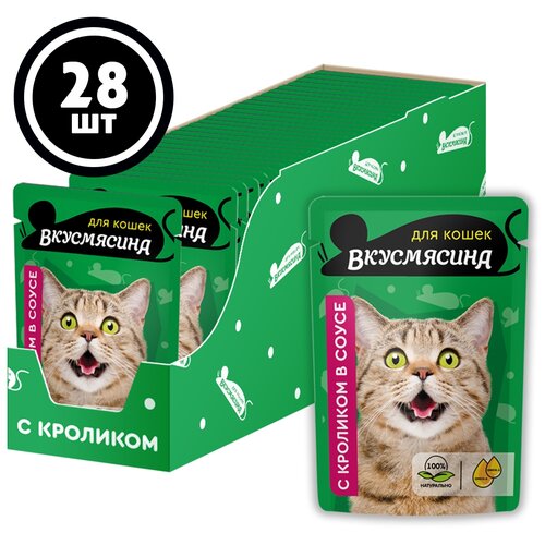 Влажный корм для стерилизованных кошек Вкусмясина индейка 28 шт. х 85 г (кусочки в соусе) фотография