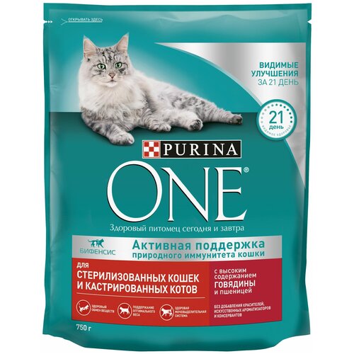 Сухой корм Purina ONE для стерилизованных кошек и кастрированных котов, с высоким содержанием говядины и пшеницей, Пакет, 750 г х 1 шт фотография