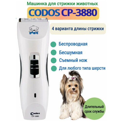 Codos Машинка для стрижки животных 